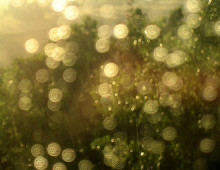 A Gleaming, May Rain (2008)